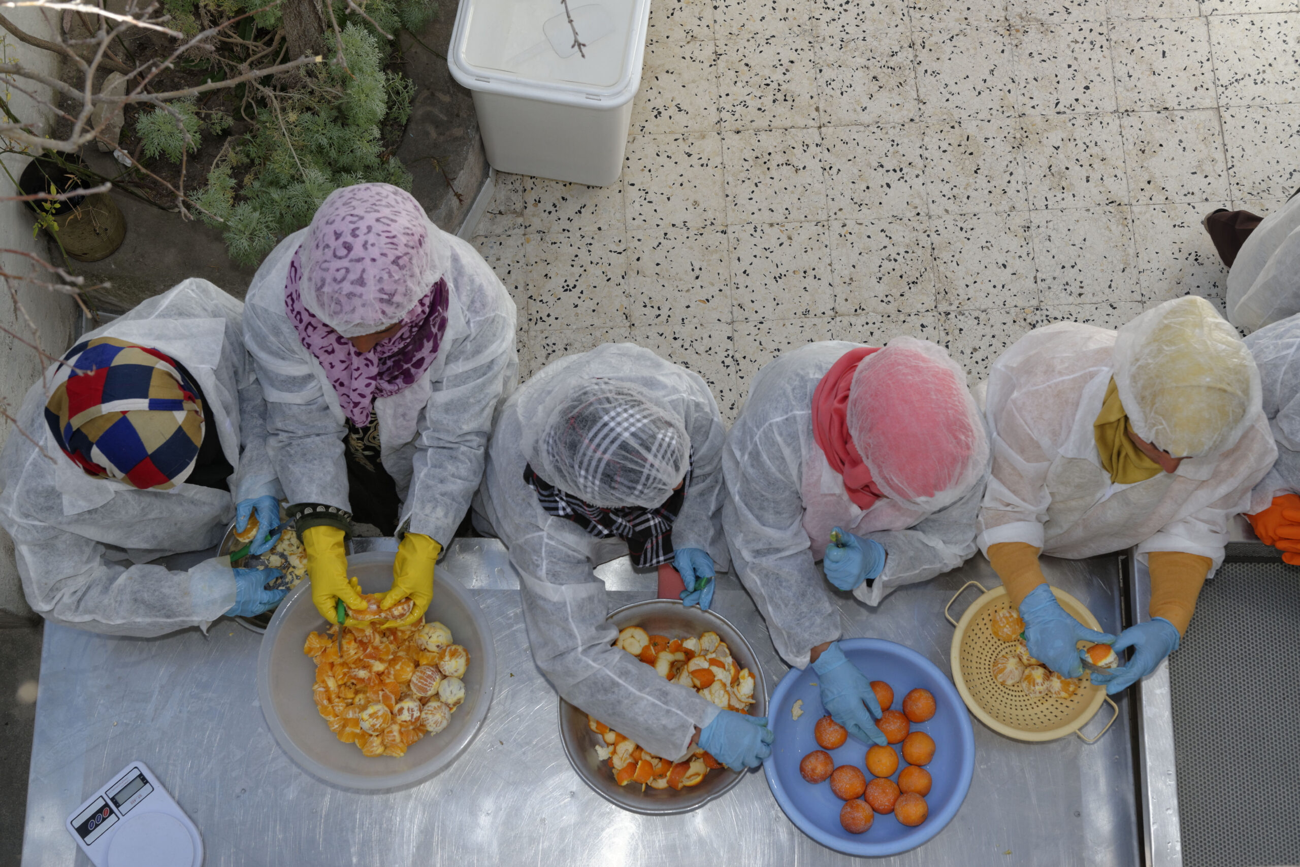 Photo prise de haut de cinq femmes autour d'une table. Il y a quatre bols et les femmes travaillent ensemble pour éplucher une grande quantité d'oranges.