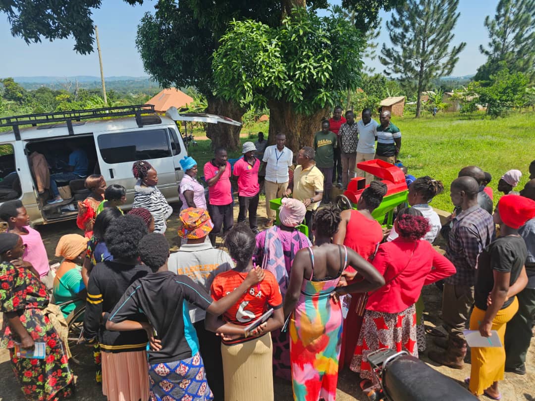 A photograph of a group of people gathering outside, listening to one person at the centre of the photo. The earth in the background is bright green, and the sun is shining.