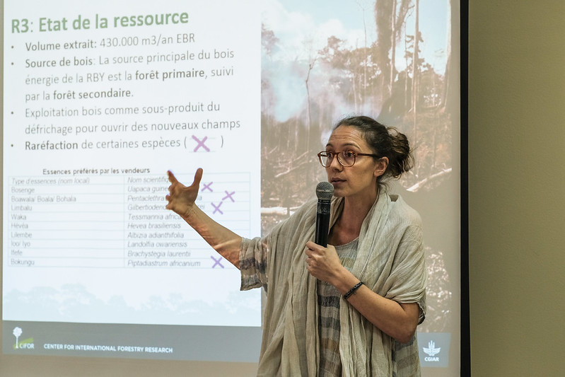 A woman presenting at a workshop on deforestation