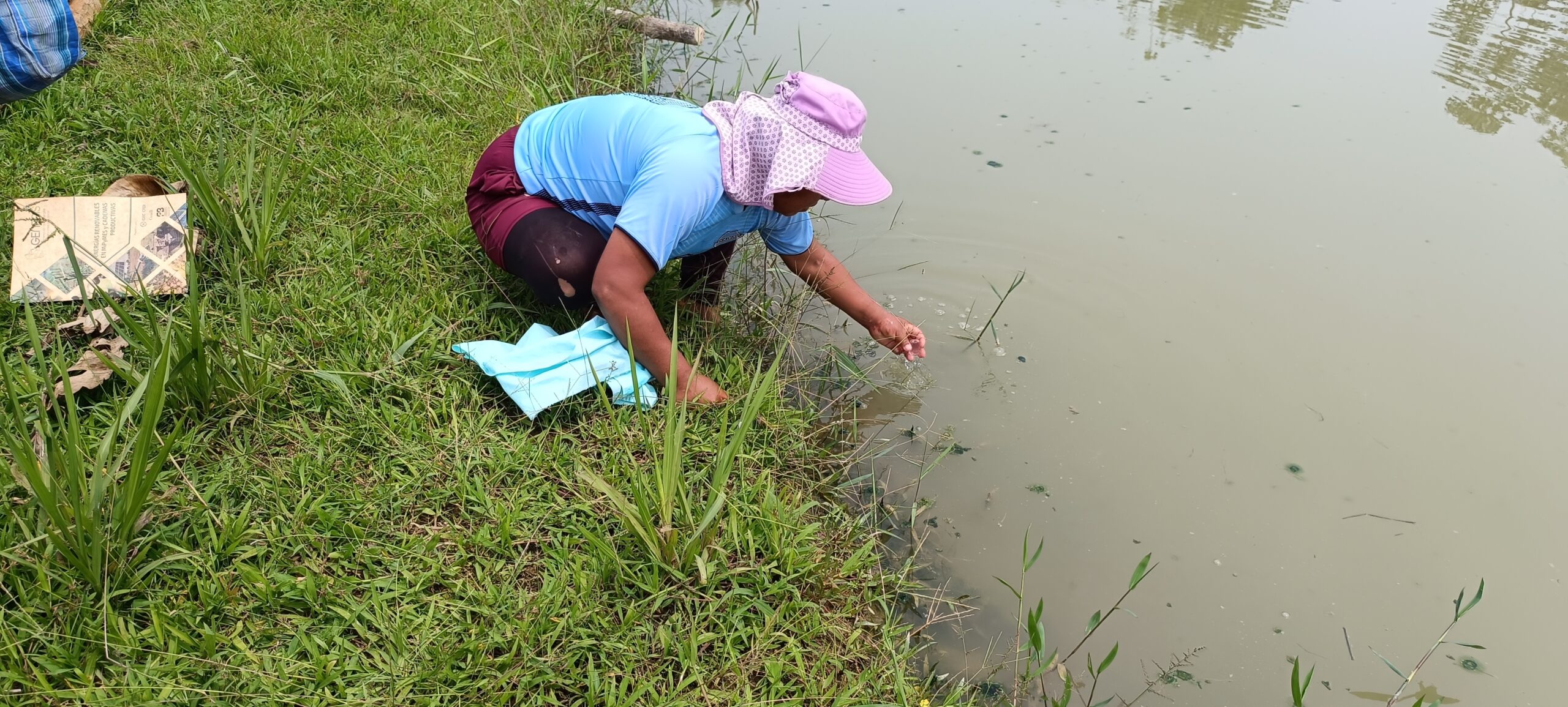 A photo of a woman by a lake in Cochabamba. She leans into the water and reaches for something in the water. The land by the side is green with long grass.
