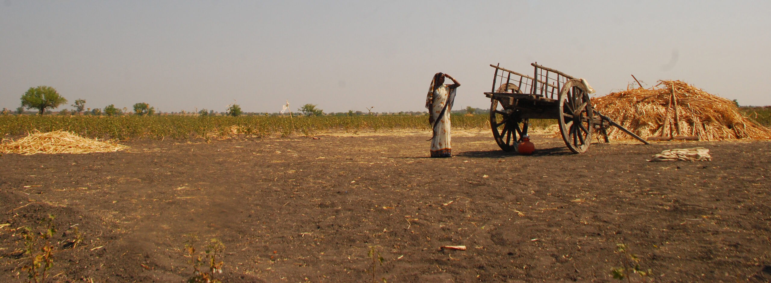 A woman stands in the middle of a field, next to a pile of hay, and looks out towards the horizon. The ground looks dry and the sky is hazy.