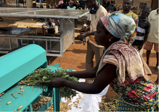 A woman is using a groundnut pod plucker machine which is powered by renewable energy.